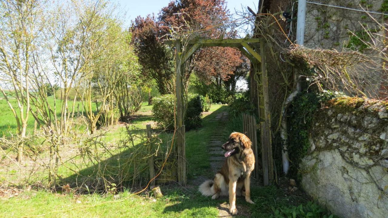 La Fosse Seche Bed and Breakfast Dolus-le-Sec Exterior foto